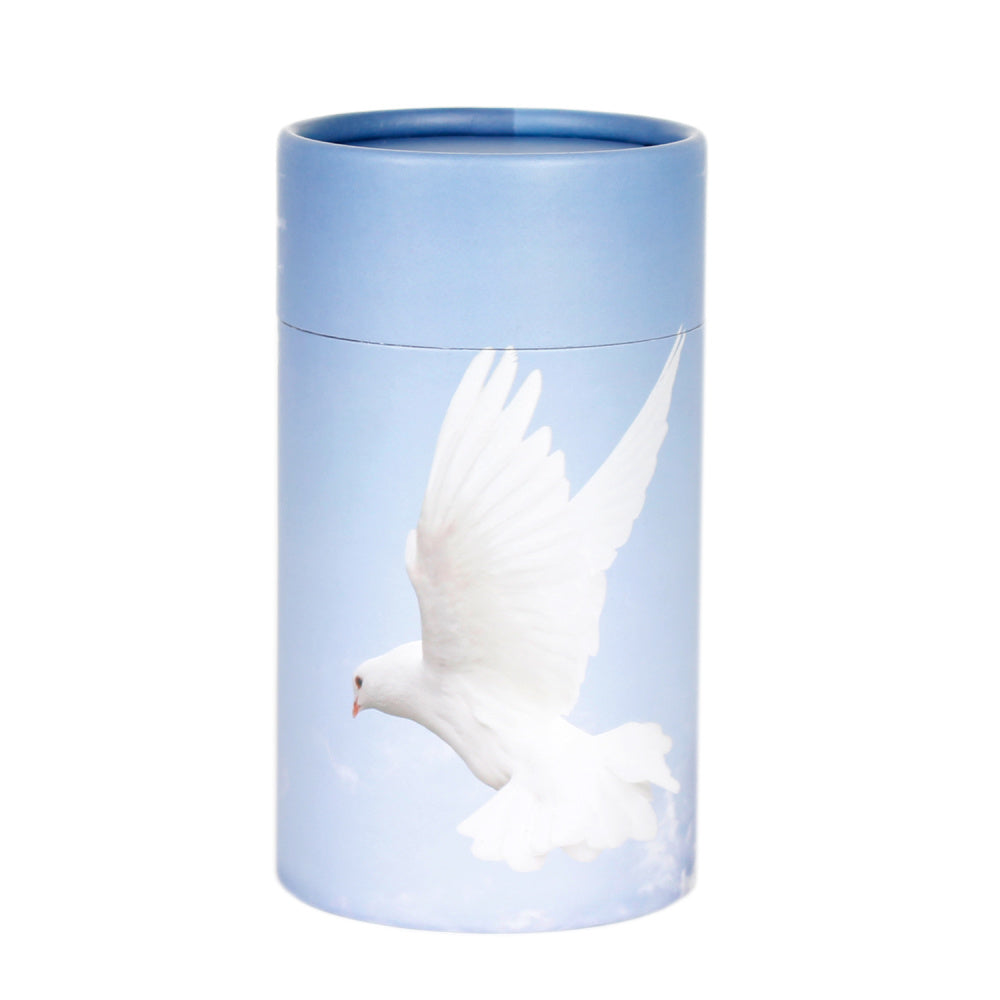 Scattering Urns4
