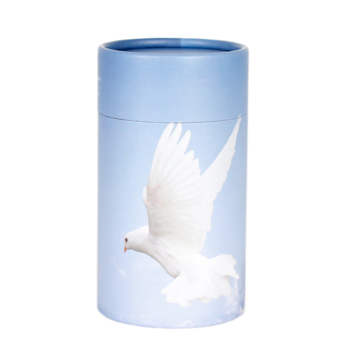 Scattering Urns4