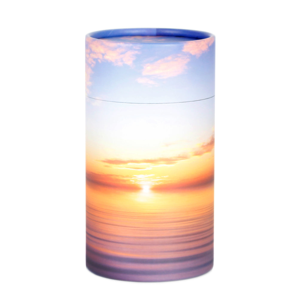 Scattering Urns3