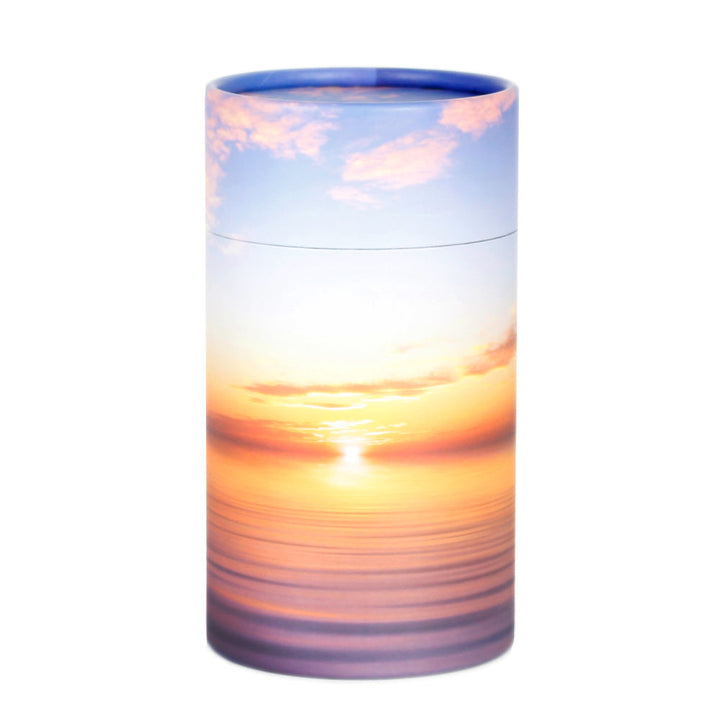 Scattering Urns3