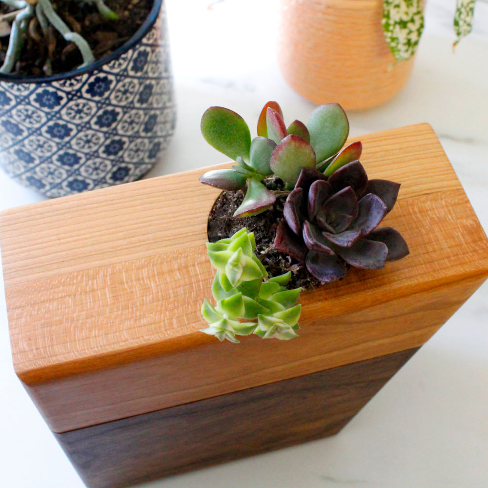 The Living Urn Planter™ for Pets
