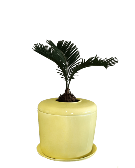 The Living Urn Indoors / Patio for Pets