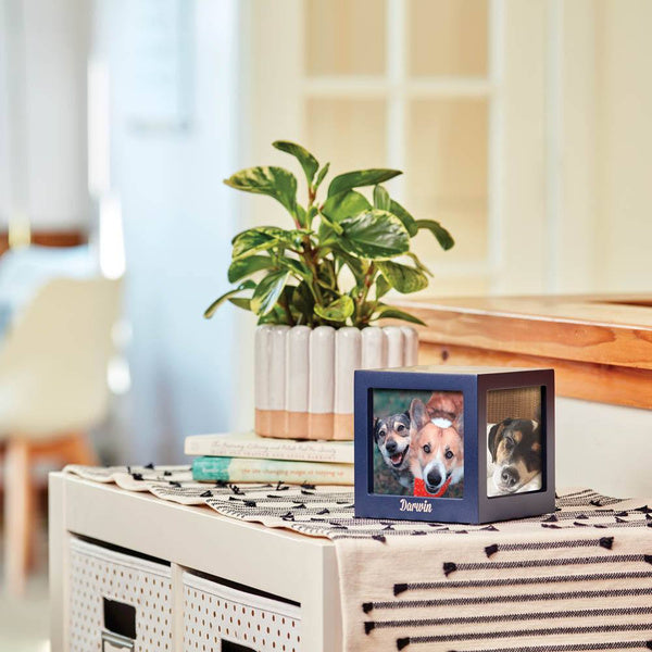 Photo Cube Urn for Pets - Navy