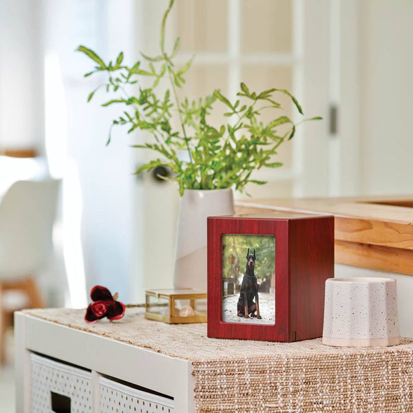 Photo Urn for Pets - Cherry