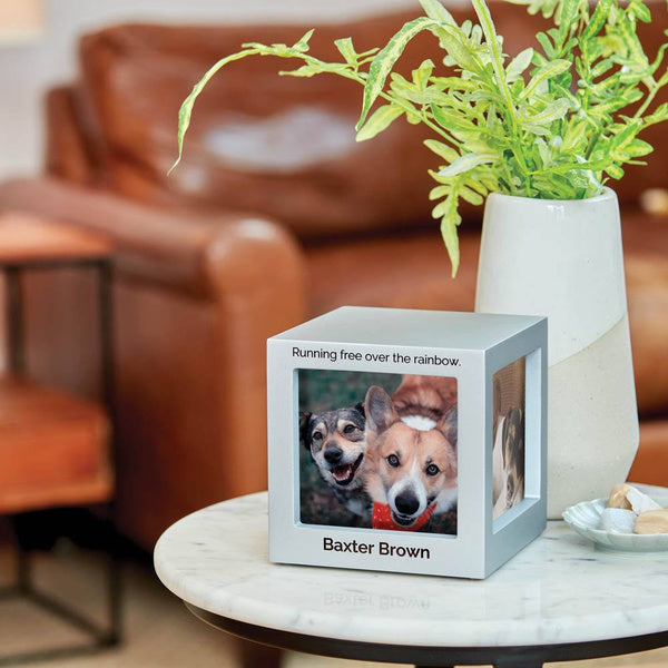 Photo Cube Urn for Pets - Silver