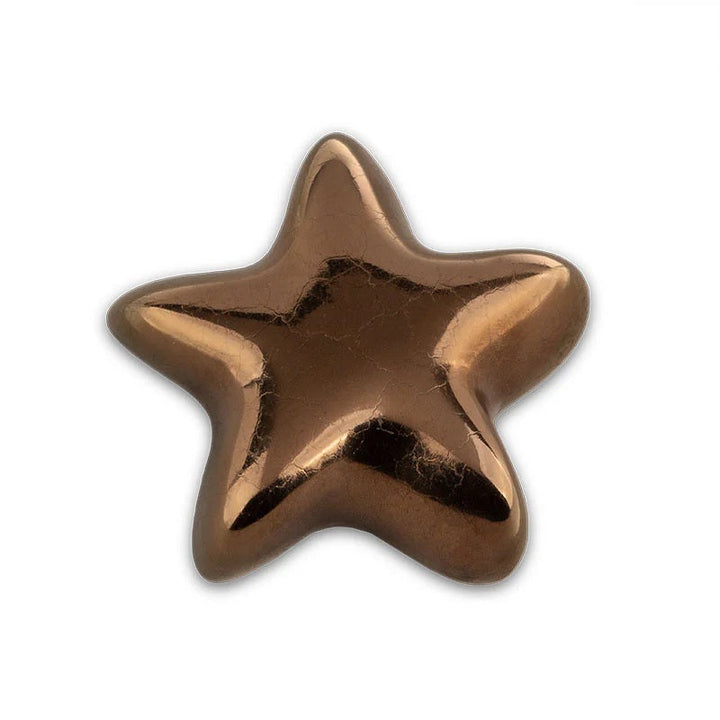 Eternal Stars for Pets