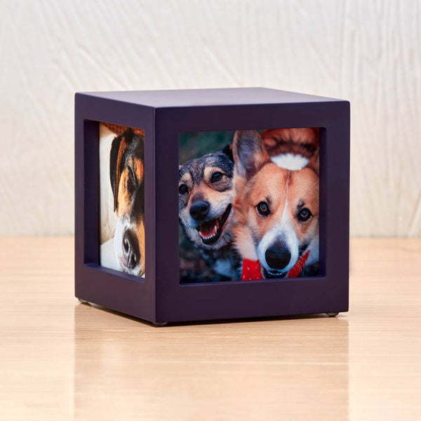 Photo Cube Urn for Pets - Violet
