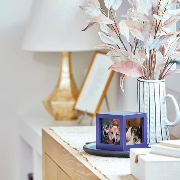Photo Cube Urn for Pets - Violet
